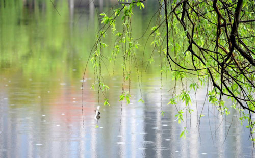 雨中的守护者 —— 张掖珍珠棉的应用实践